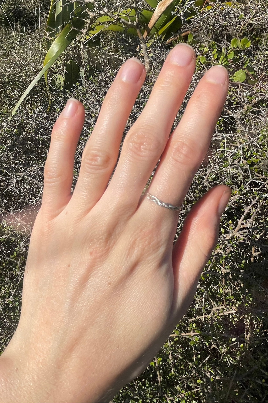 Texel Ring