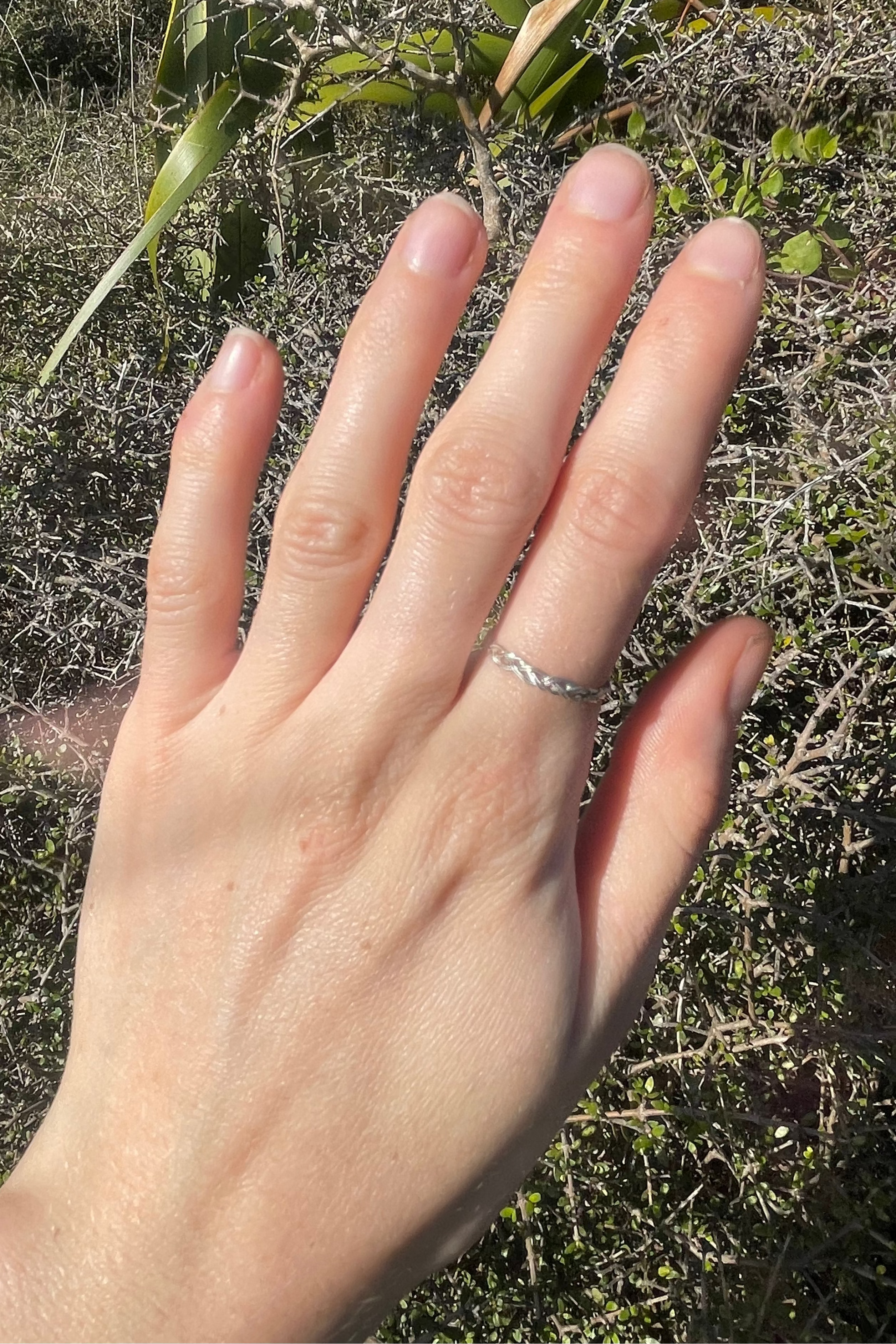 Texel Ring